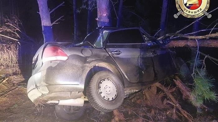 В Туве мужчина упал на дерево и погиб.