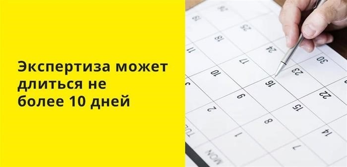 Экспертиза автомобиля не должна занимать более 10 дней