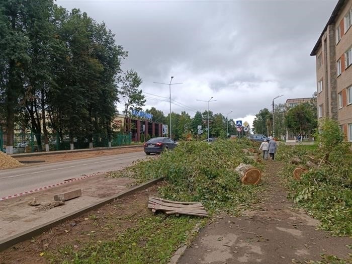 Обмотанные битумом: почему на Шиванкова вырубили все деревья.